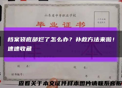 檔案袋底部爛了怎么辦？補救方法來啦！速速收藏縮略圖