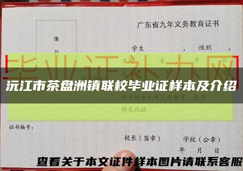 沅江市茶盤洲鎮聯校畢業證樣本及介紹縮略圖