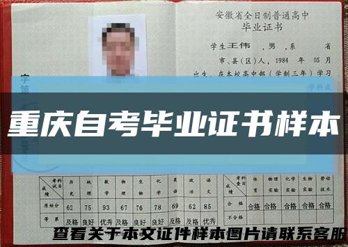重慶自考畢業證書樣本縮略圖