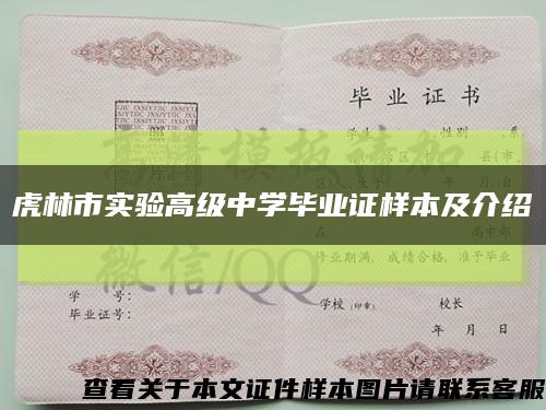 虎林市實驗高級中學畢業證樣本及介紹縮略圖