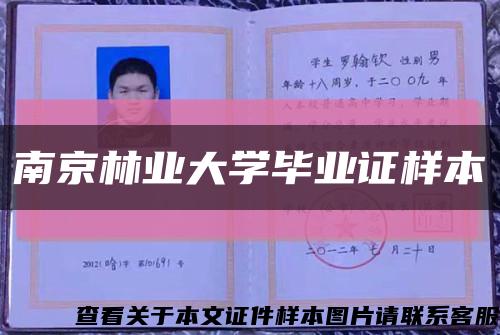 南京林業大學畢業證樣本縮略圖