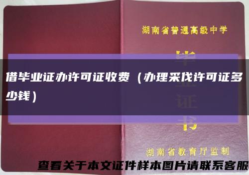 借畢業證辦許可證收費（辦理采伐許可證多少錢）縮略圖
