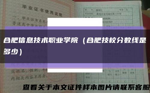 合肥信息技術職業學院（合肥技校分數線是多少）縮略圖