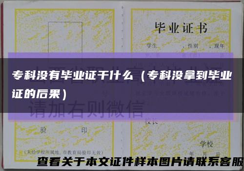 ?？茮]有畢業證干什么（?？茮]拿到畢業證的后果）縮略圖