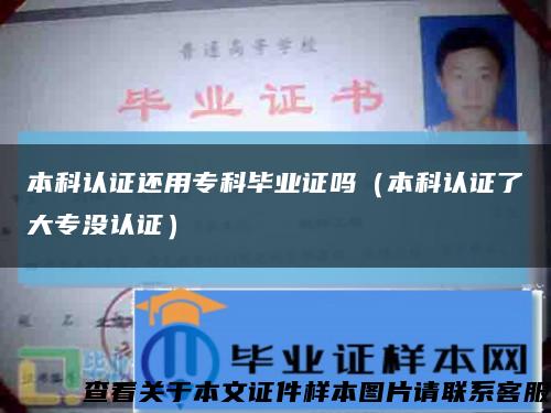 本科認證還用?？飘厴I證嗎（本科認證了大專沒認證）縮略圖