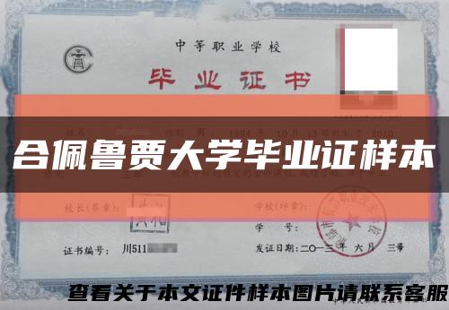 合佩魯賈大學畢業證樣本縮略圖
