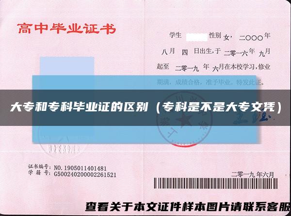 大專和?？飘厴I證的區別（?？剖遣皇谴髮Ｎ膽{）縮略圖
