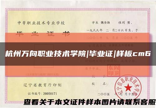 杭州萬向職業技術學院|畢業證|樣板cm6縮略圖