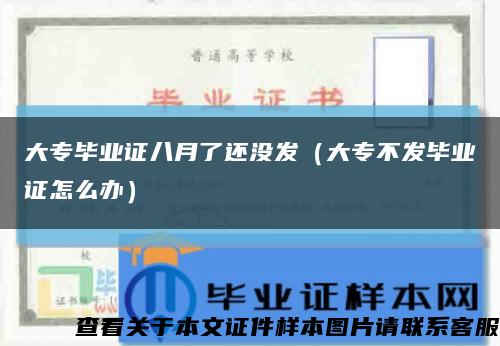 大專畢業證八月了還沒發（大專不發畢業證怎么辦）縮略圖