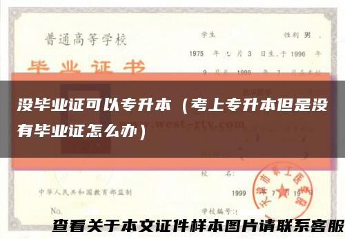 沒畢業證可以專升本（考上專升本但是沒有畢業證怎么辦）縮略圖