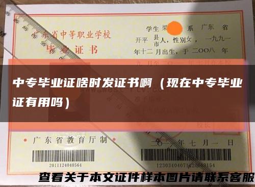 中專畢業證啥時發證書?。ìF在中專畢業證有用嗎）縮略圖