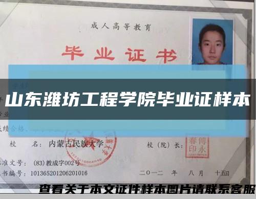 山東濰坊工程學院畢業證樣本縮略圖