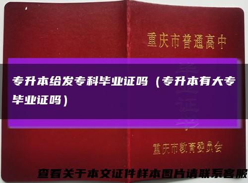 專升本給發?？飘厴I證嗎（專升本有大專畢業證嗎）縮略圖