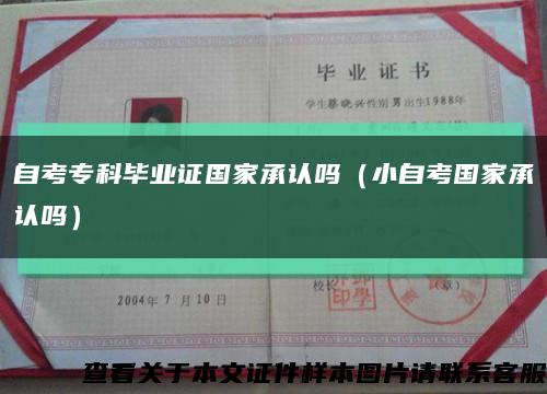 自考?？飘厴I證國家承認嗎（小自考國家承認嗎）縮略圖