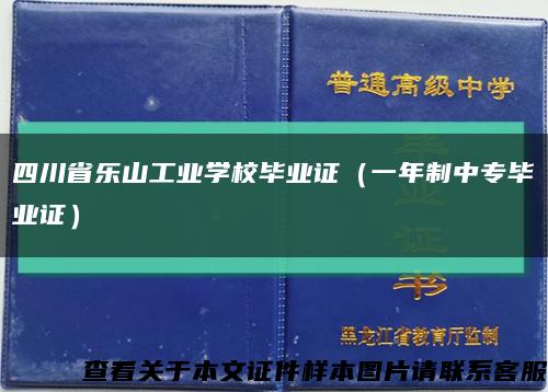 四川省樂山工業學校畢業證（一年制中專畢業證）縮略圖