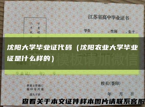 沈陽大學畢業證代碼（沈陽農業大學畢業證是什么樣的）縮略圖