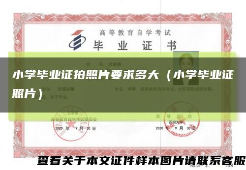小學畢業證拍照片要求多大（小學畢業證照片）縮略圖