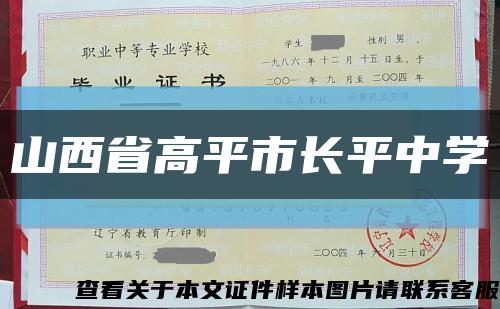 山西省高平市長平中學縮略圖
