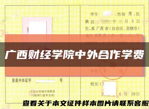 廣西財經學院中外合作學費縮略圖