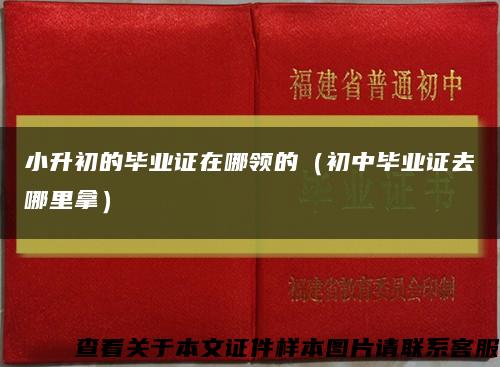 小升初的畢業證在哪領的（初中畢業證去哪里拿）縮略圖
