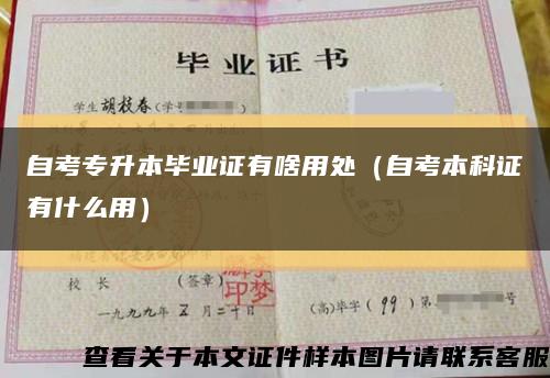 自考專升本畢業證有啥用處（自考本科證有什么用）縮略圖