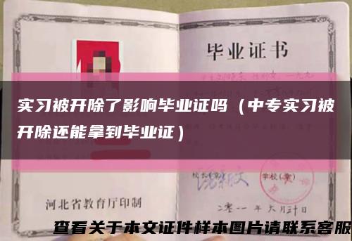 實習被開除了影響畢業證嗎（中專實習被開除還能拿到畢業證）縮略圖