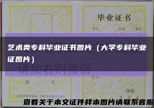 藝術類?？飘厴I證書圖片（大學?？飘厴I證圖片）縮略圖