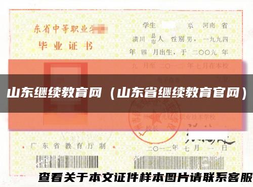 山東繼續教育網（山東省繼續教育官網）縮略圖
