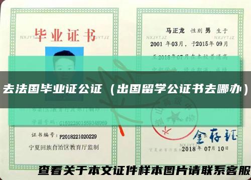 去法國畢業證公證（出國留學公證書去哪辦）縮略圖