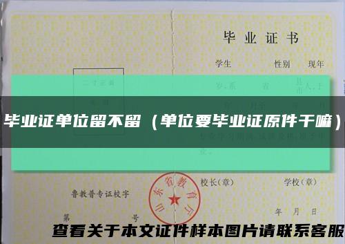 畢業證單位留不留（單位要畢業證原件干嘛）縮略圖