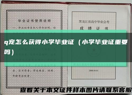 q寵怎么獲得小學畢業證（小學畢業證重要嗎）縮略圖