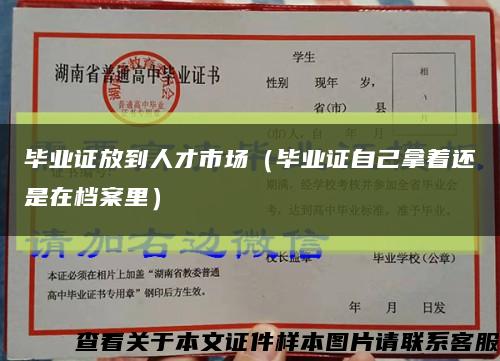 畢業證放到人才市場（畢業證自己拿著還是在檔案里）縮略圖