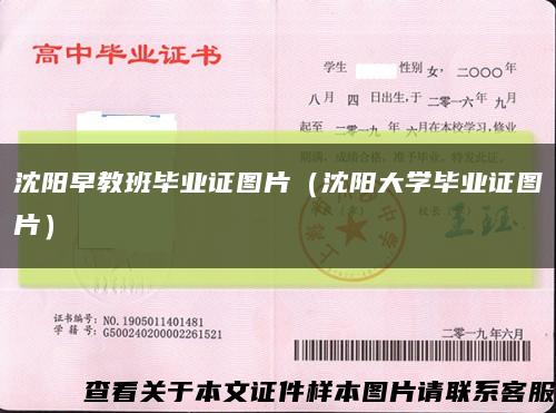 沈陽早教班畢業證圖片（沈陽大學畢業證圖片）縮略圖
