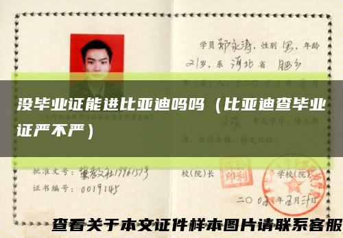 沒畢業證能進比亞迪嗎嗎（比亞迪查畢業證嚴不嚴）縮略圖