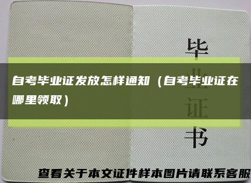 自考畢業證發放怎樣通知（自考畢業證在哪里領?。┛s略圖
