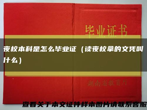 夜校本科是怎么畢業證（讀夜校拿的文憑叫什么）縮略圖