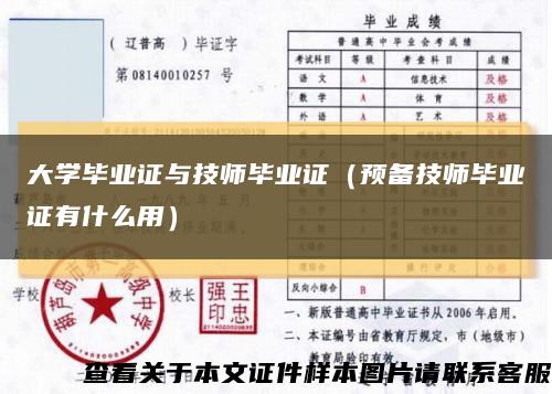 大學畢業證與技師畢業證（預備技師畢業證有什么用）縮略圖
