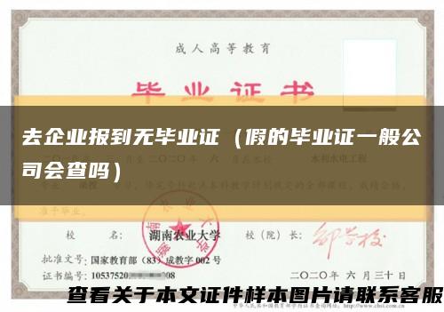 去企業報到無畢業證（假的畢業證一般公司會查嗎）縮略圖