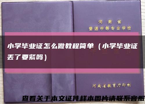 小學畢業證怎么做教程簡單（小學畢業證丟了要緊嗎）縮略圖