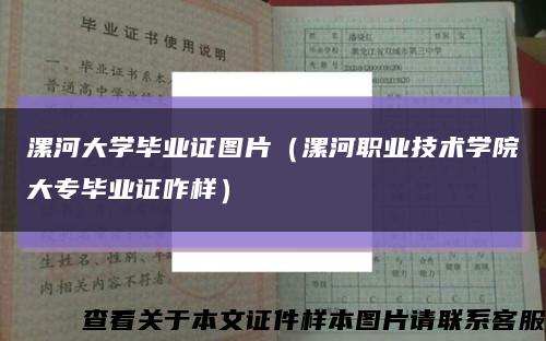 漯河大學畢業證圖片（漯河職業技術學院大專畢業證咋樣）縮略圖