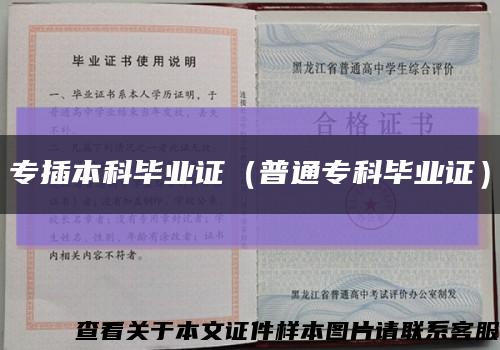 專插本科畢業證（普通?？飘厴I證）縮略圖