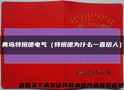 青島特銳德電氣（特銳德為什么一直招人）縮略圖