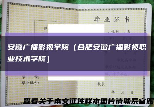 安徽廣播影視學院（合肥安徽廣播影視職業技術學院）縮略圖