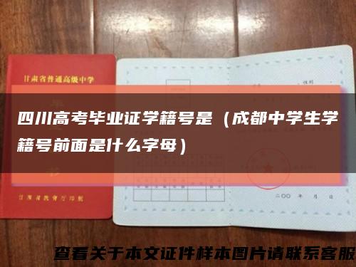 四川高考畢業證學籍號是（成都中學生學籍號前面是什么字母）縮略圖