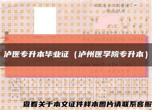 瀘醫專升本畢業證（瀘州醫學院專升本）縮略圖