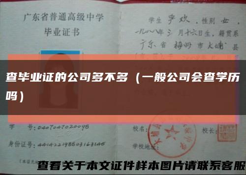 查畢業證的公司多不多（一般公司會查學歷嗎）縮略圖