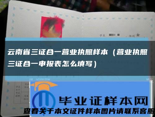 云南省三證合一營業執照樣本（營業執照三證合一申報表怎么填寫）縮略圖