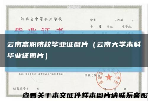 云南高職院校畢業證圖片（云南大學本科畢業證圖片）縮略圖