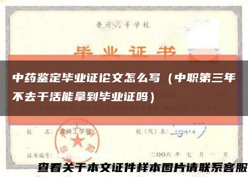 中藥鑒定畢業證論文怎么寫（中職第三年不去干活能拿到畢業證嗎）縮略圖