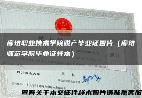 廊坊職業技術學院脫產畢業證圖片（廊坊師范學院畢業證樣本）縮略圖